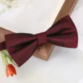 Détail de nœud papillon texturé bourgogne avec tissu raffiné et style de mariage élégant. - Nœud Papillon Étoilé Rouge Vin