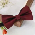 Noeud papillon bordeaux unicolore homme accessoire formel mariage costume variante - Nœud Papillon Rayé Rouge Vin Profond