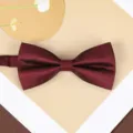 Wine red herringbone bow tie variant, classic men's formal suit neckwear accessory. - Dark Red Herringbone Bowtie