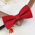 Noeud papillon uni rouge vin pour homme, variante en tissu twill elegant pour costumes de mariage. - Nœud Papillon Rayé Mode