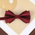 Burgundy twill double layer bow tie for men wedding party formal suit apparel accessory - Dark Red Asymmetric Fine Stripe Bowtie