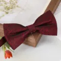 Nœud papillon bordeaux homme tissu uni marié costume de mariage chemise variante classique - Nœud Papillon Rouge Vin Chevalier