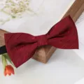Nœud papillon ruban bordeaux pour hommes et femmes couleur unie costume de mariage cravate - Nœud Papillon Jacquard Rouge Vin Profond