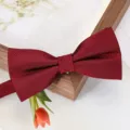 Nœud papillon bordeaux classique pour homme, accessoire élégant de costume de mariage. - Nœud Papillon Rayé Fin Rouge Vin Nouveau
