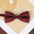 Burgundy Geometric Pattern Bow Tie for Men Groom Wedding Suit Shirt Formal Accessories - Wine Red Geometric Block Bowtie