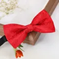 Noeud papillon rouge à motifs pour hommes mariage marié vêtements formels accessoire - D01 Floral Rouge Nœud Papillon