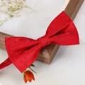 Nœud papillon rouge en jacquard, idéal pour costume de mariage, marié et accessoires. - D10 Rose Nœud Papillon