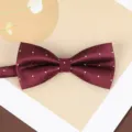 Wine red herringbone polka dot bow tie for men, stylish groom wedding suit accessory. - Wine Red Herringbone White Dot Bowtie