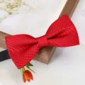 Nœud papillon écossais rouge pour homme mariage marié style classique accessoire mode - Nœud Papillon D15