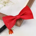Nœud papillon rouge variante, accessoire de costume formel pour homme, nœud de mariage élégant. - Nœud Papillon Carreau Diagonal Rouge