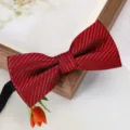 Noeud papillon rayé rouge pour costume de mariage homme tenue de soirée élégant accessoire. - Nœud Papillon Rouge Vin Mode Classique