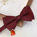 Noeud papillon rayé rouge vin pour hommes femmes mariage marié costume chemise accessoire. - Rouge Vin Rayure Verticale Nœud Papillon