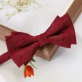 Nœud papillon rouge vin pour homme mariage, accessoire classique double couche pour costume formel. - Nœud Papillon Rayé Asymétrique Rouge Vin