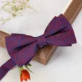 Nœud papillon élégant pour homme avec motif rayé rouge et violet pour mariages et tenues. - Nœud Papillon Étoilé Romantique