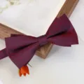 Noeud papillon rouge vin pour homme, accessoire de costume de mariage classique. - Nœud Papillon Motif Rose Red