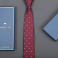 Burgundy business tie with white dots and gift box detail view, premium men's formal wear. - Concentric Circle Zipper Style (Long Gift Box) / 8cm Wide / Burgundy