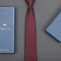 Detailed view of burgundy polka dot necktie texture, elegant men business formal wear detail. - Starlight Zipper Style (Long Gift Box) / 8cm Wide / Burgundy