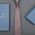 Elegant men business paisley necktie with gift box, classic wedding formal suit tie accessory. - Zipper Style (Long Gift Box) / 8cm Wide / Lucky Cloud Phoenix