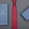 Burgundy striped business tie with gift box, elegant necktie set for men's formal wear. - Double Line Zipper Style (Long Gift Box) / 8cm Wide / Burgundy