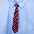 Koreaanse stijl college gestreepte das passend bij lichtblauwe overhemd detailweergave. - Rood GestreEPT Dames Stijl
