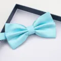 Primo piano di un papillon azzurro con motivo a griglia e trama finemente tessuta. - Farfallino Quadri Piccoli Azzurro