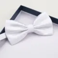 White checkered bow tie detail, elegant fabric texture for formal wear and weddings. - White Grid Bowtie