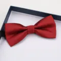 Burgundy red textured men's bow tie formal wedding suit accessory elegant design - F9 Red Fine Stripe Bow Tie