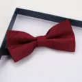 Burgundy mens formal bow tie wedding groom business wear with exquisite gift box packaging - Wine Red Diagonal Stripe Bow Tie