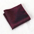 Heren pochet blauw rood bladpatroon formele pak zakdoek accessoire prachtig mooie - Rood Blauw Veer