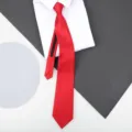 Red striped zipper necktie for men and women, classic business wedding lazy necktie. - D04 Zipper