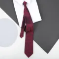Red Paisley Zipper Tie for Men Wedding Business Formal Necktie Stylish Variant - Red Blue Paisley Zipper