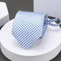 Blue and white plaid business zipper tie for men, stylish and convenient formal wear accessory. - Small Blue Plaid Zipper Necktie