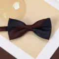 Men's retro jacquard bow tie close-up detail, vintage striped pattern fabric accessory for suit. - Burgundy Navy Wide Stripe Bow Tie
