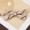 Detailed close-up view of stylish men jacquard striped bow tie for classic formal business suits. - Warm Sun Woven Texture Bow Tie