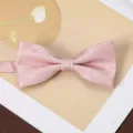 Close-up detail of a pink jacquard textured bow tie, ideal for formal suit and shirt styling. - Soft Cloud Pavilion-Light Pink Bow Tie