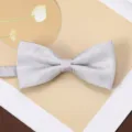Close-up detail of a silver grey jacquard bow tie, elegant men's formal accessory. - Soft Cloud Pavilion-Light Gray Bow Tie