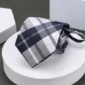 Men's blue plaid business necktie, classic formal wear accessory for wedding, work and daily office. - No. 13 Zipper Necktie