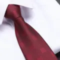 Close-up detail of a classic men's red textured business necktie paired with a white dress shirt. - 8cm Wine Red Square Zipper