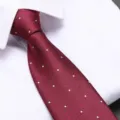 Classic red silk tie featuring elegant herringbone texture and subtle white polka dots. - 8cm Wine Red Herringbone White Dots Zipper