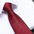 Classic wine red striped zipper tie for men business formal wear wedding groom necktie - Burgundy Double Line Zipper