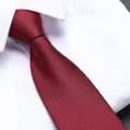 Red business wedding zipper necktie for men formal suit textured close-up detail view. - 8cm Wine Red Small Grid Zipper
