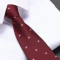 Burgundy red men's necktie with cute pink flower pattern, professional formal wear tie. - Burgundy Star Zipper