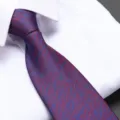 Detailed view of blue and red textured mens necktie showing fine fabric and elegant business style. - Romantic Starry Sky Zipper