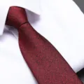 Detailed view of a red textured men dress tie with black speckles on a white shirt. - Past Burgundy Zipper