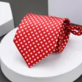 Red and white checkered necktie for men, stylish pre-tied zipper tie for business wear. - H019 Zipper Necktie