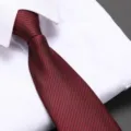 Men's red zip necktie for wedding business formal wear, easy pull-on striped tie accessory. - Burgundy Fashion Classic Zipper