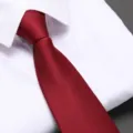 Red zipper necktie for men, formal wedding business professional suit necktie variant. - New Burgundy Fine Stripe Zipper