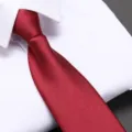Men solid wine red business formal necktie paired with white dress shirt variant - Burgundy Glossy Zipper