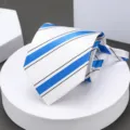 Men blue striped zipper tie for business formal wear, wedding and professional work. - Dreamy Blue White Zipper Necktie