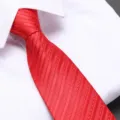 Red zipper necktie for men, classic wedding business formal wear pre-tied tie accessory. - D04 Zipper